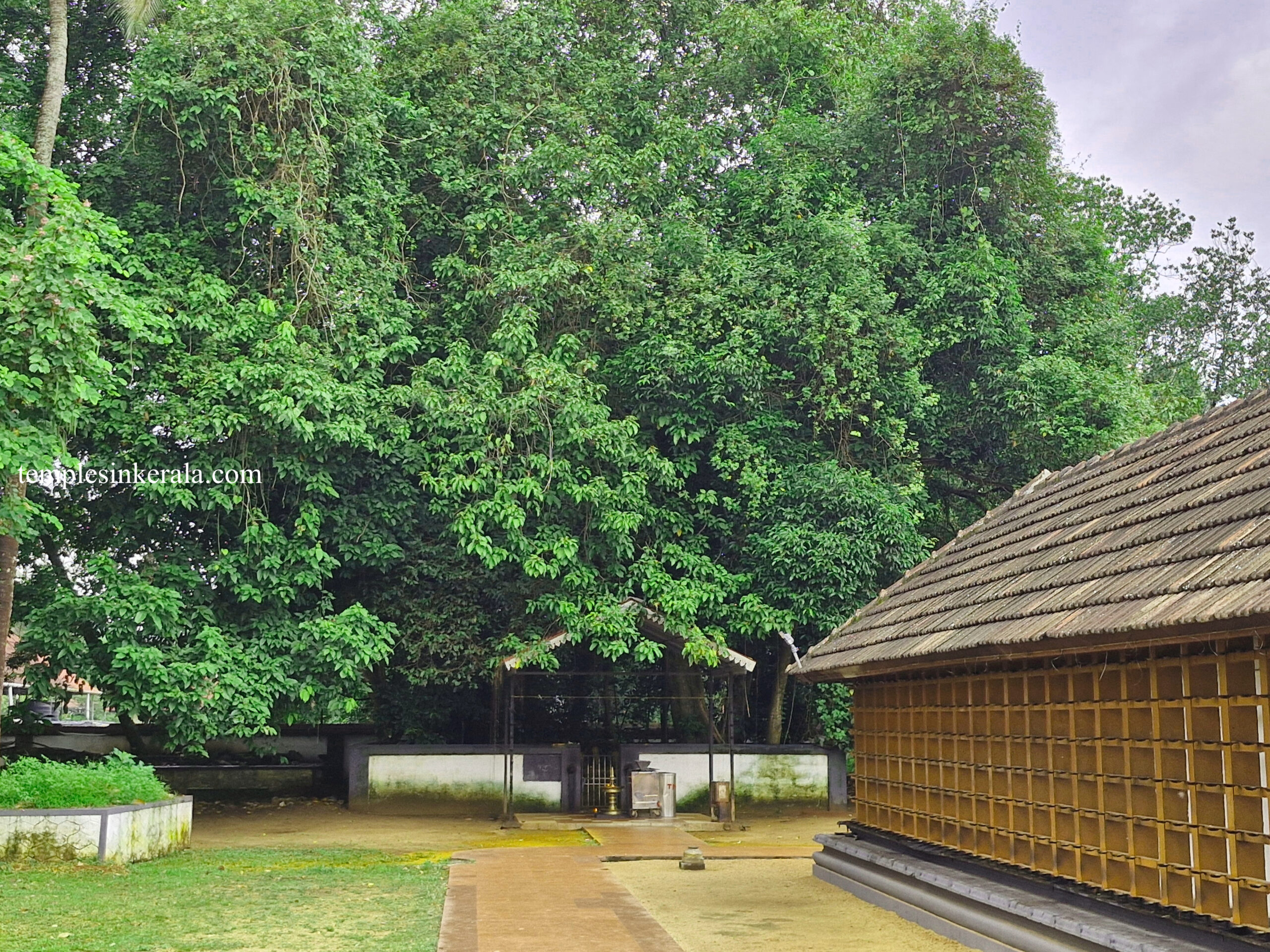 Sarppa Kavu/സർപ്പക്കാവ് Famous Hindu Temples in Kerala