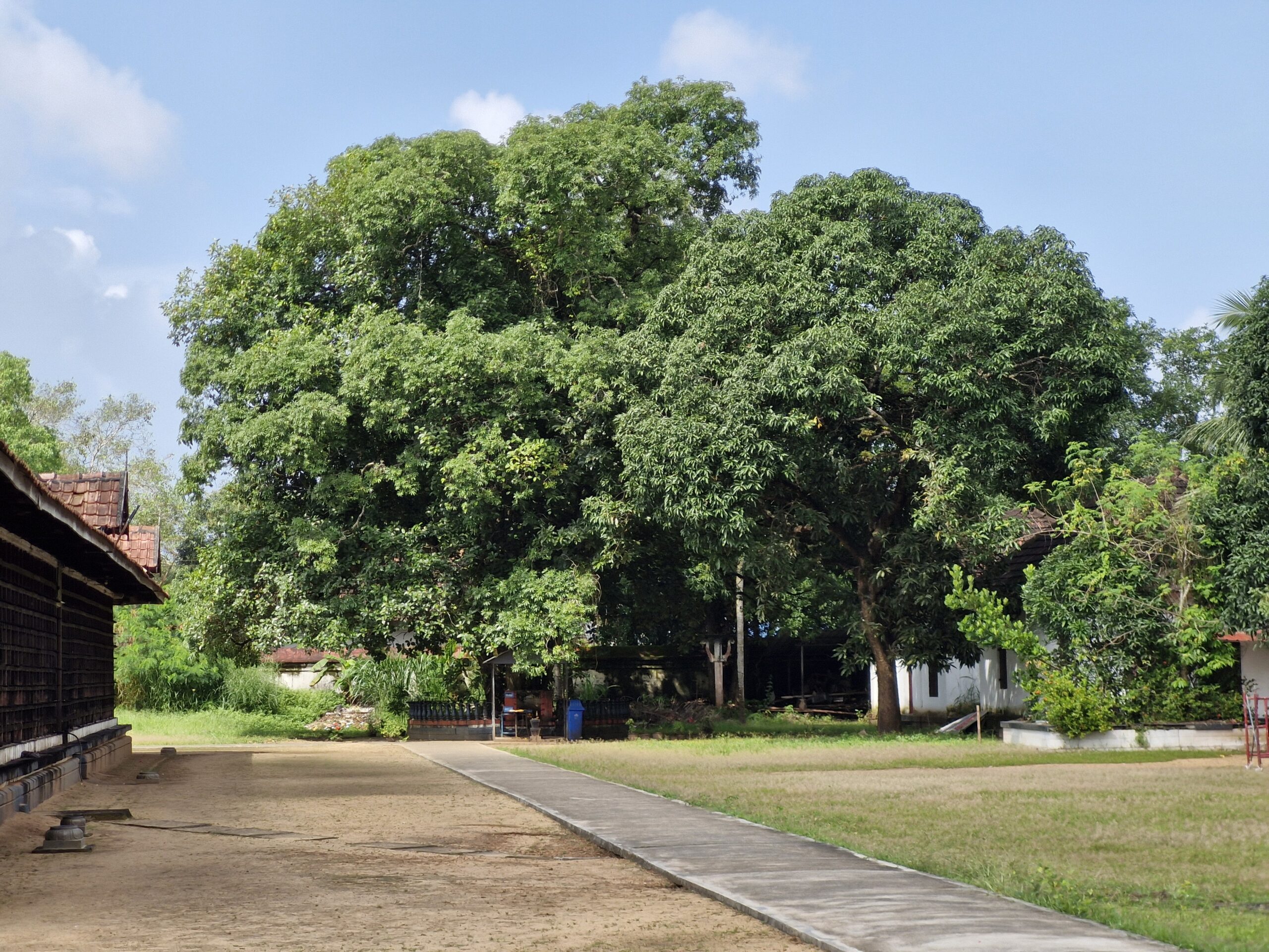 Yakshi Temple, Palachuvatt templesinkerala.com